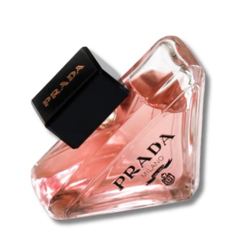 Prada paradoxe deals